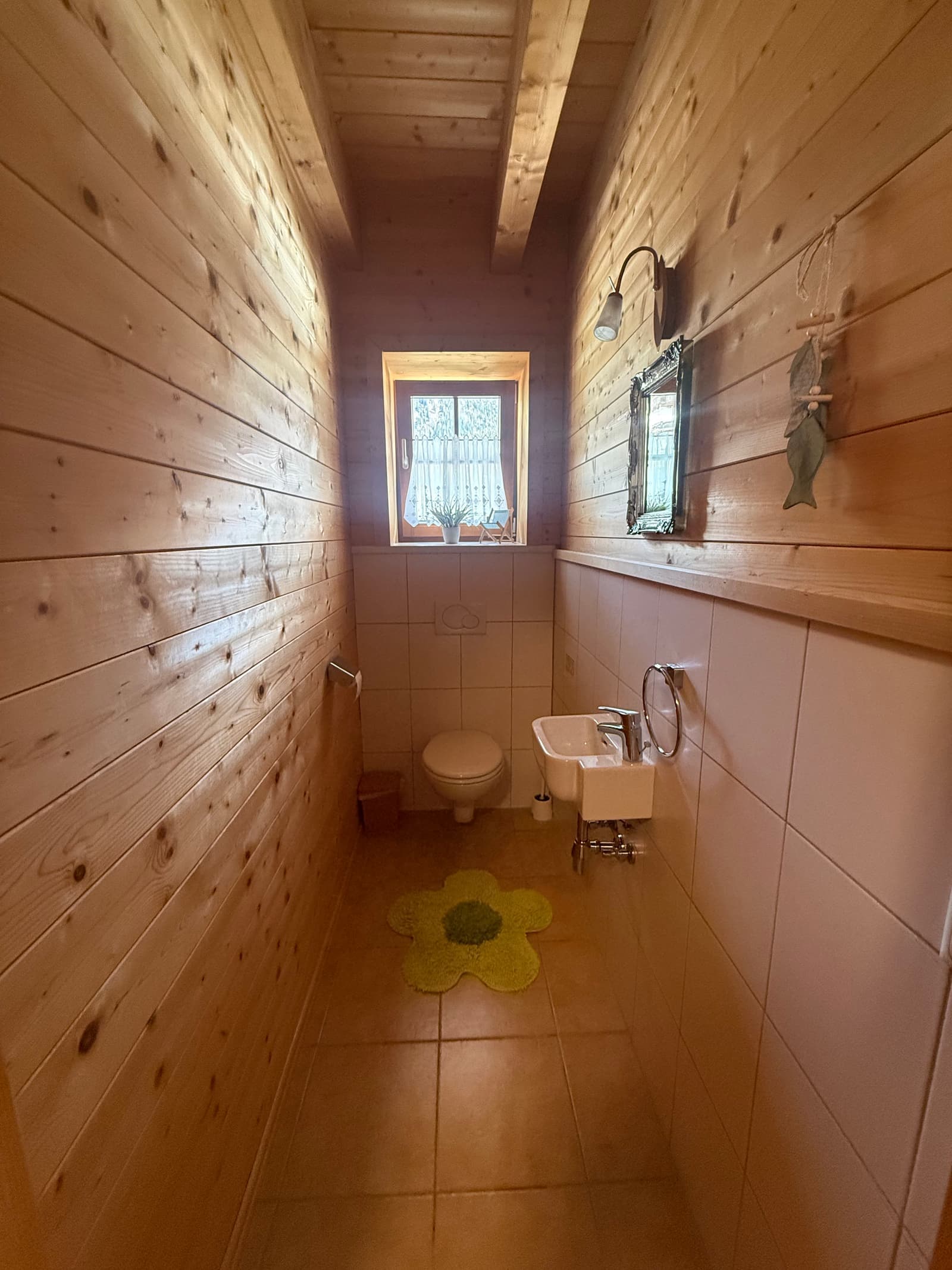 Edelweiß – Bild 3