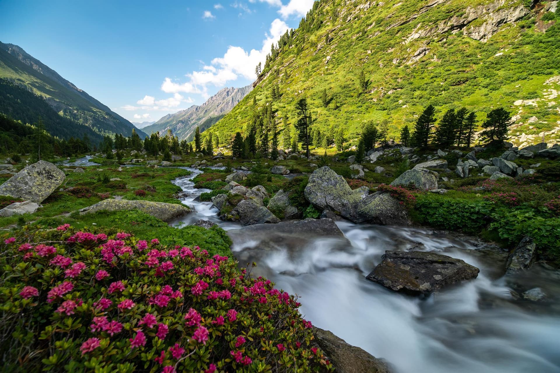 Sommer in Kals – grüne Almwiesen und Bergpanorama
